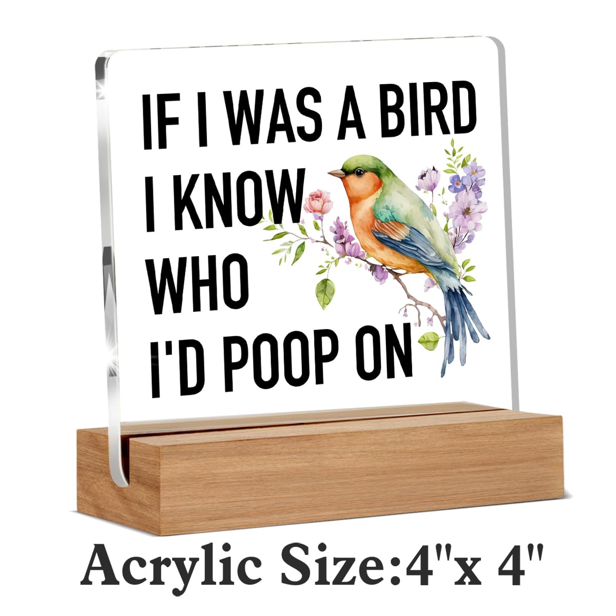 Acotar Gifts for Women Men, Inspirational Gifts for Book Lovers, Bookworms, Nerds, Readers, Book Merch Gift, Only You Can Decide What Breaks You Acrylic Plaque Desk Signs Decor 4 × 4 Inches