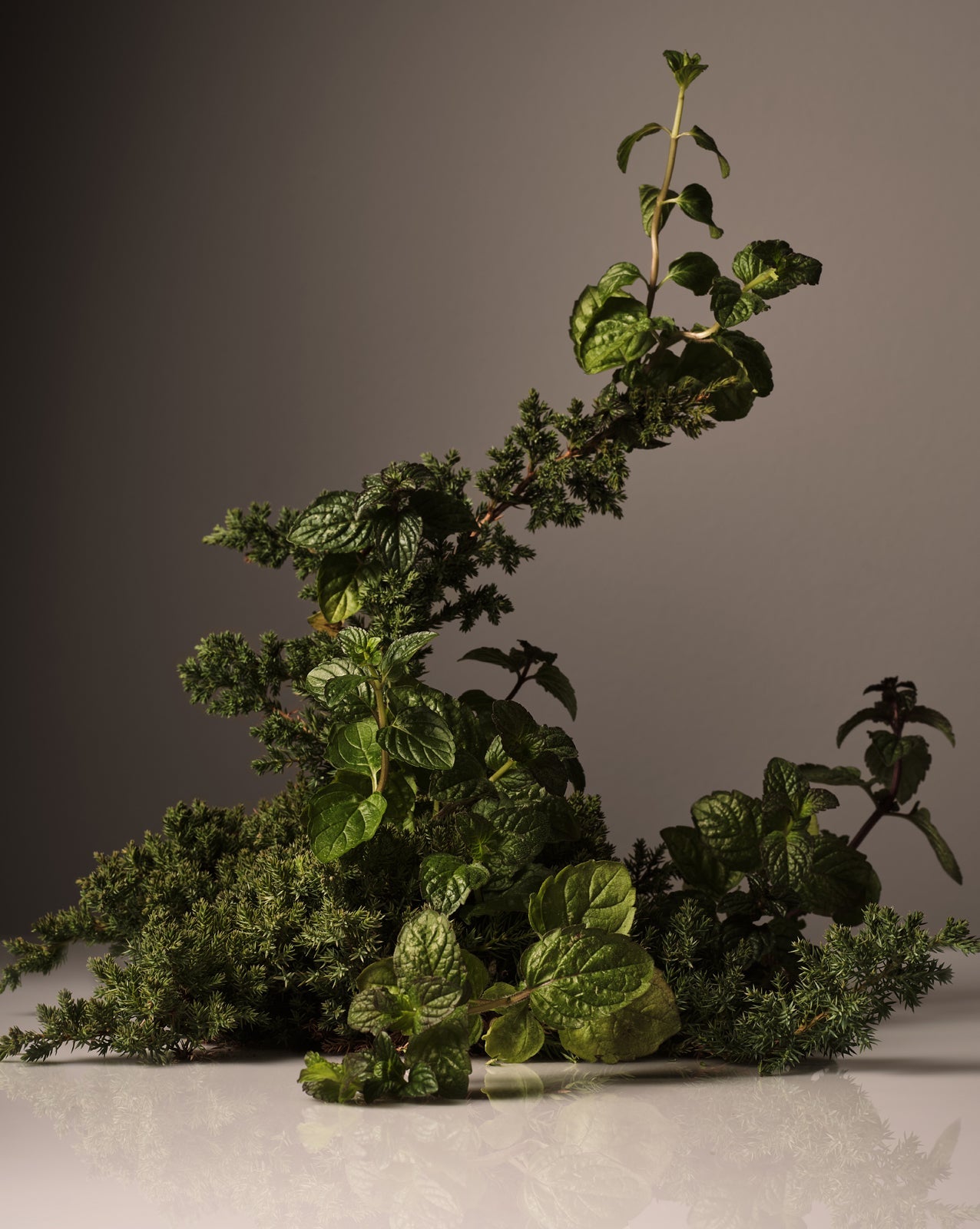 Surface Cleaner With Coconut Degreaser Cypress Oil