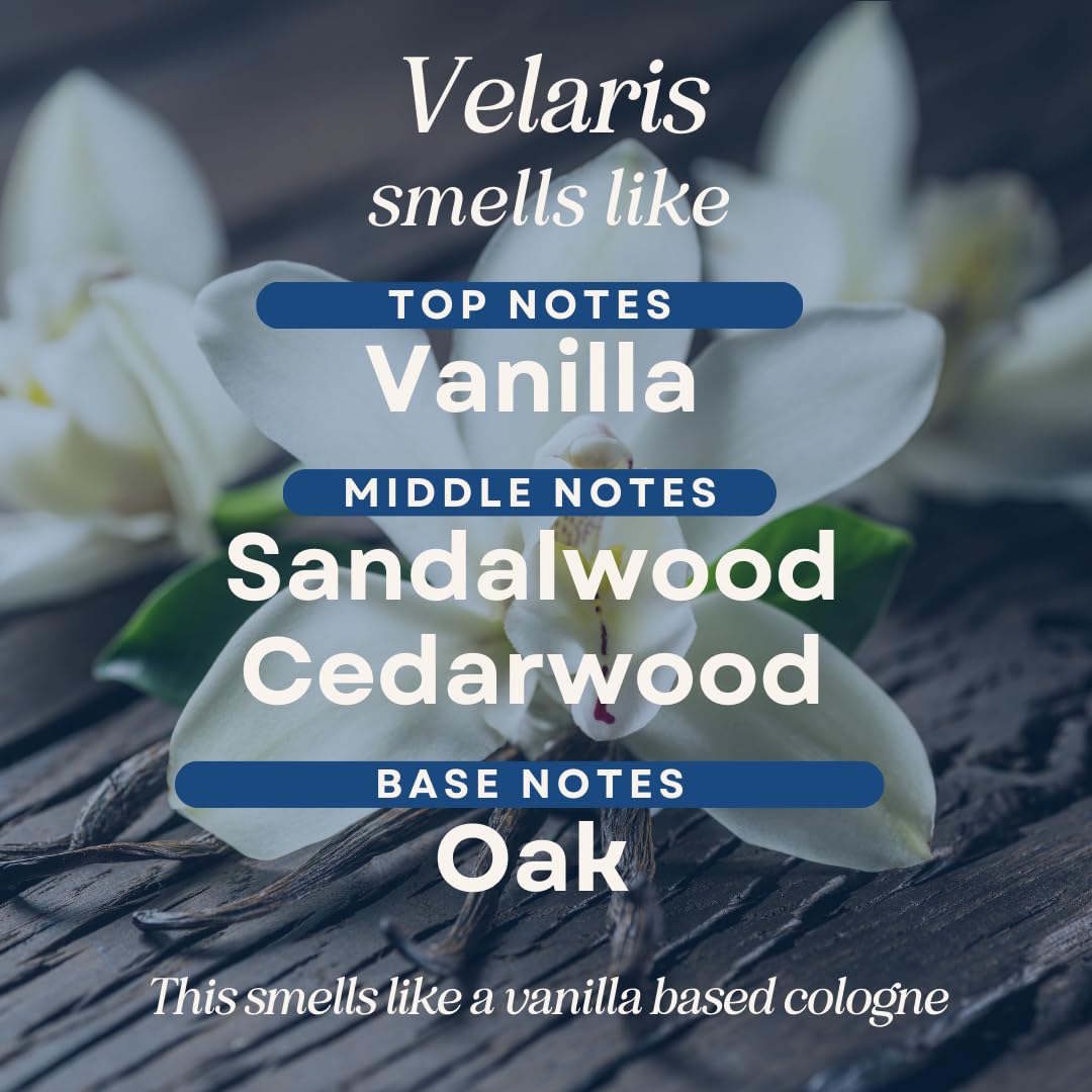 CANDECraftCo 4 Pack Bookish Scents Car Air Freshener for Essential Oils, Aromatherapy Automobile Diffuser, Gift for Her, Library, Book Lover Gift, Reading Bibliophile (ACOTAR)