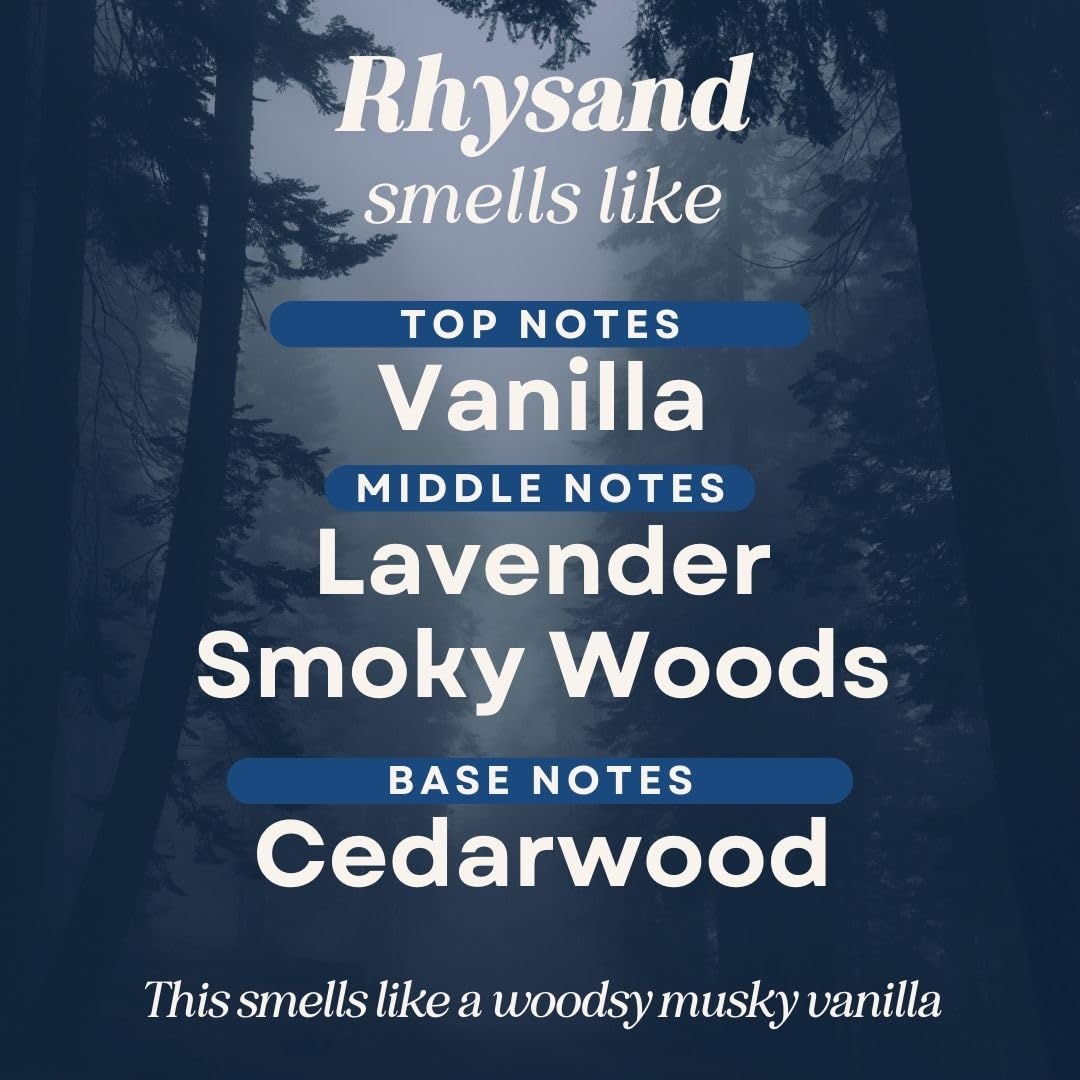 CANDECraftCo 4 Pack Bookish Scents Car Air Freshener for Essential Oils, Aromatherapy Automobile Diffuser, Gift for Her, Library, Book Lover Gift, Reading Bibliophile (ACOTAR)