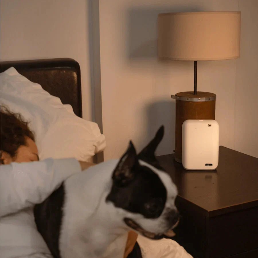ARO X25 Bluetooth Smart Scent Diffuser Up To 1000 Sqft