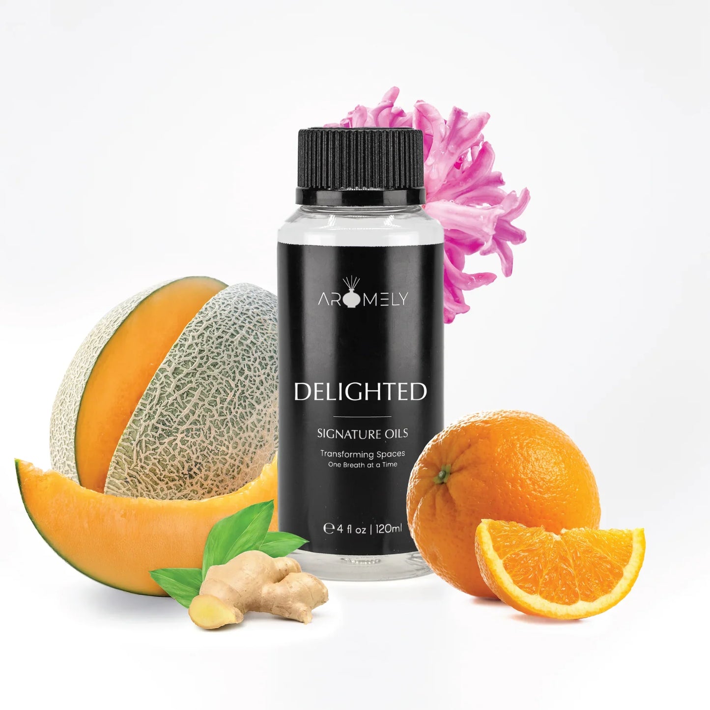 Delighted Inspired by Four Seasons Bora Bora Fragrance Oil