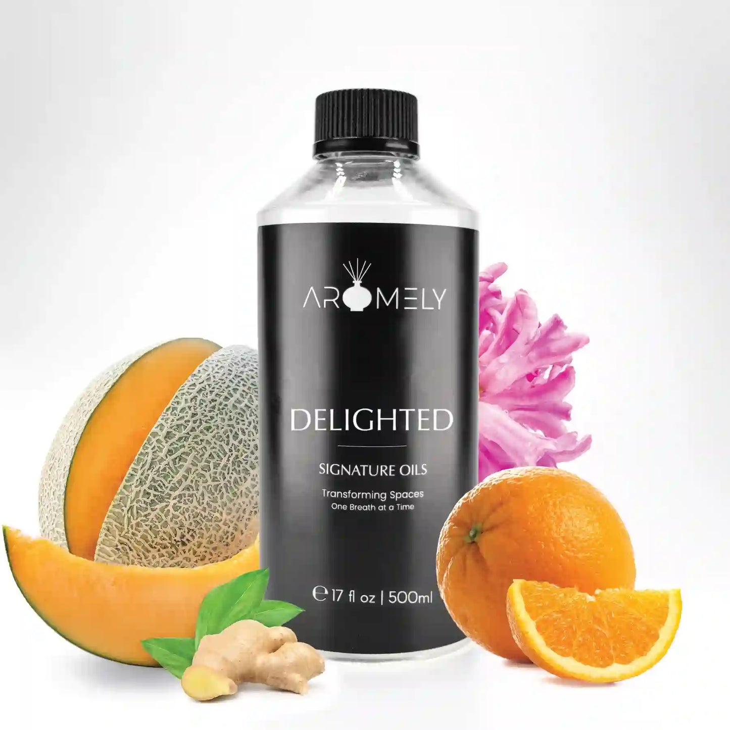 Delighted Inspired by Four Seasons Bora Bora Fragrance Oil