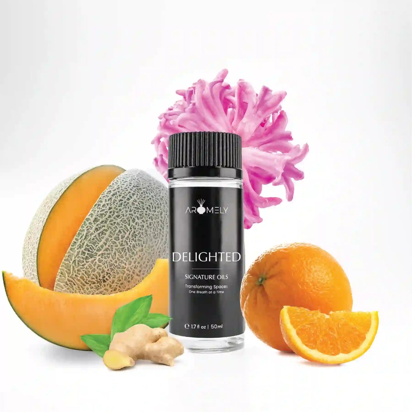 Delighted Inspired by Four Seasons Bora Bora Fragrance Oil