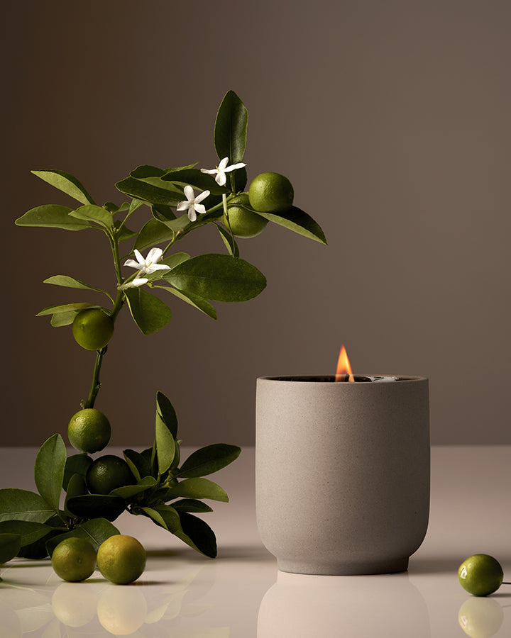 Homecourt Hand Poured Candle in Ceramic Vessel 60 Hour Burn