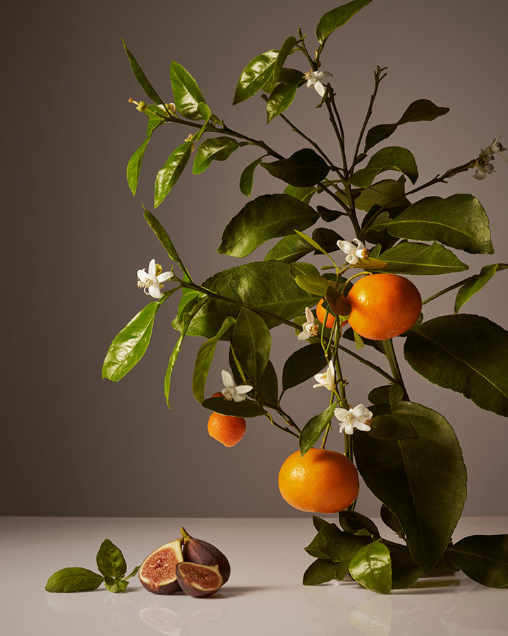 Homecourt Hand Poured Candle in Ceramic Vessel 60 Hour Burn