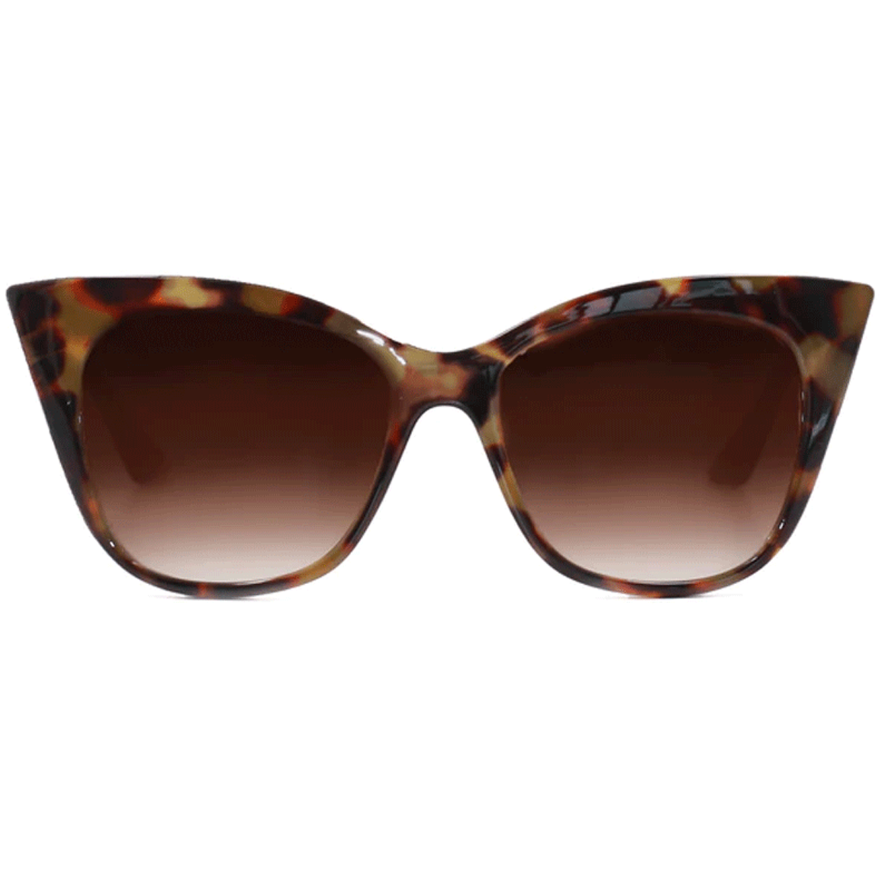Sustainable Venice Tortoise Shell Sunglasses With Case